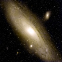 Andromeda_nugent